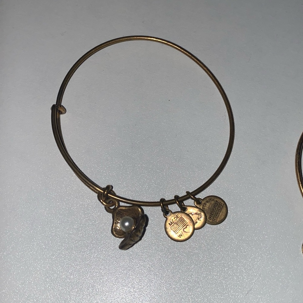 ALEX  AND ANI BRACLET